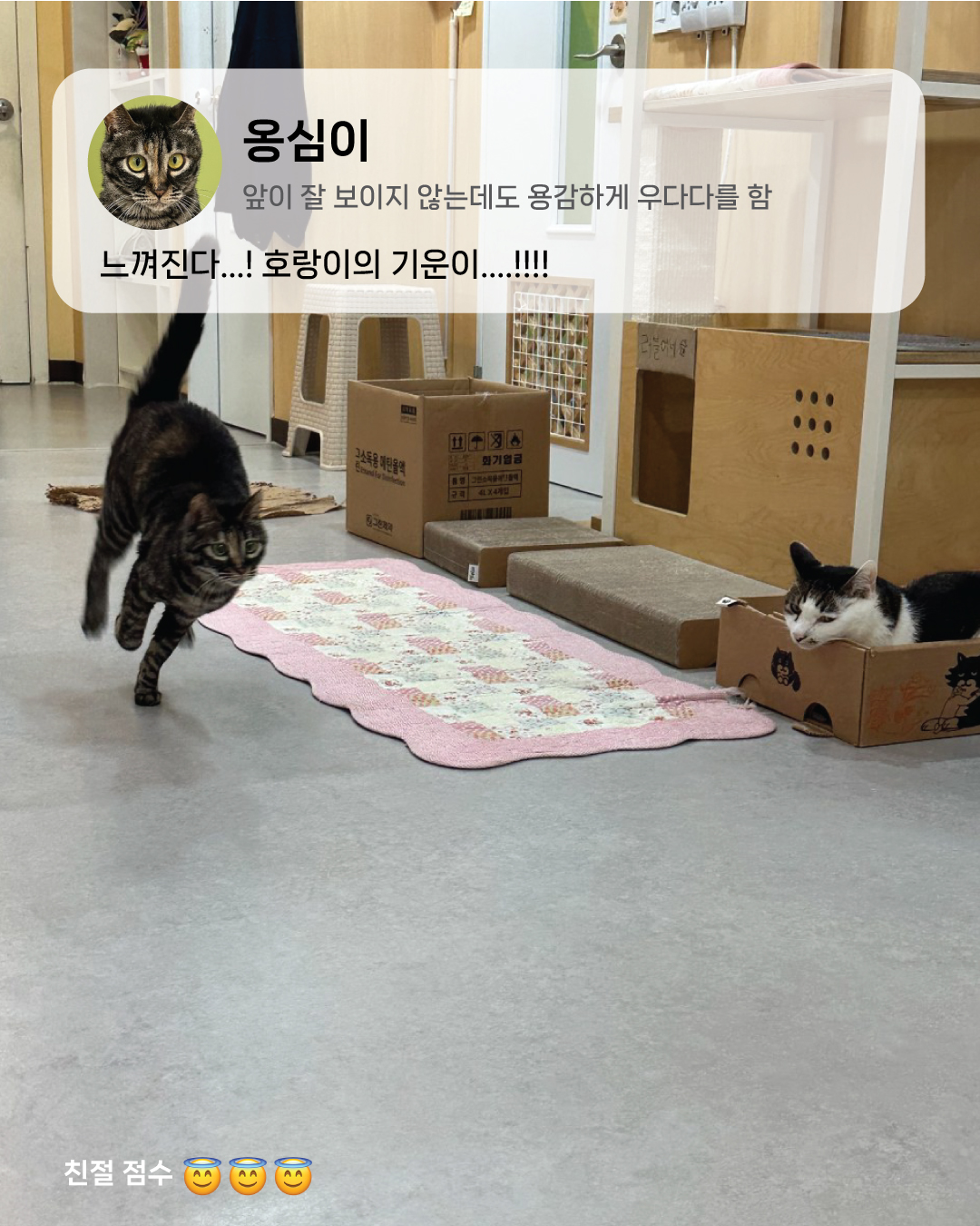 4월6.jpg