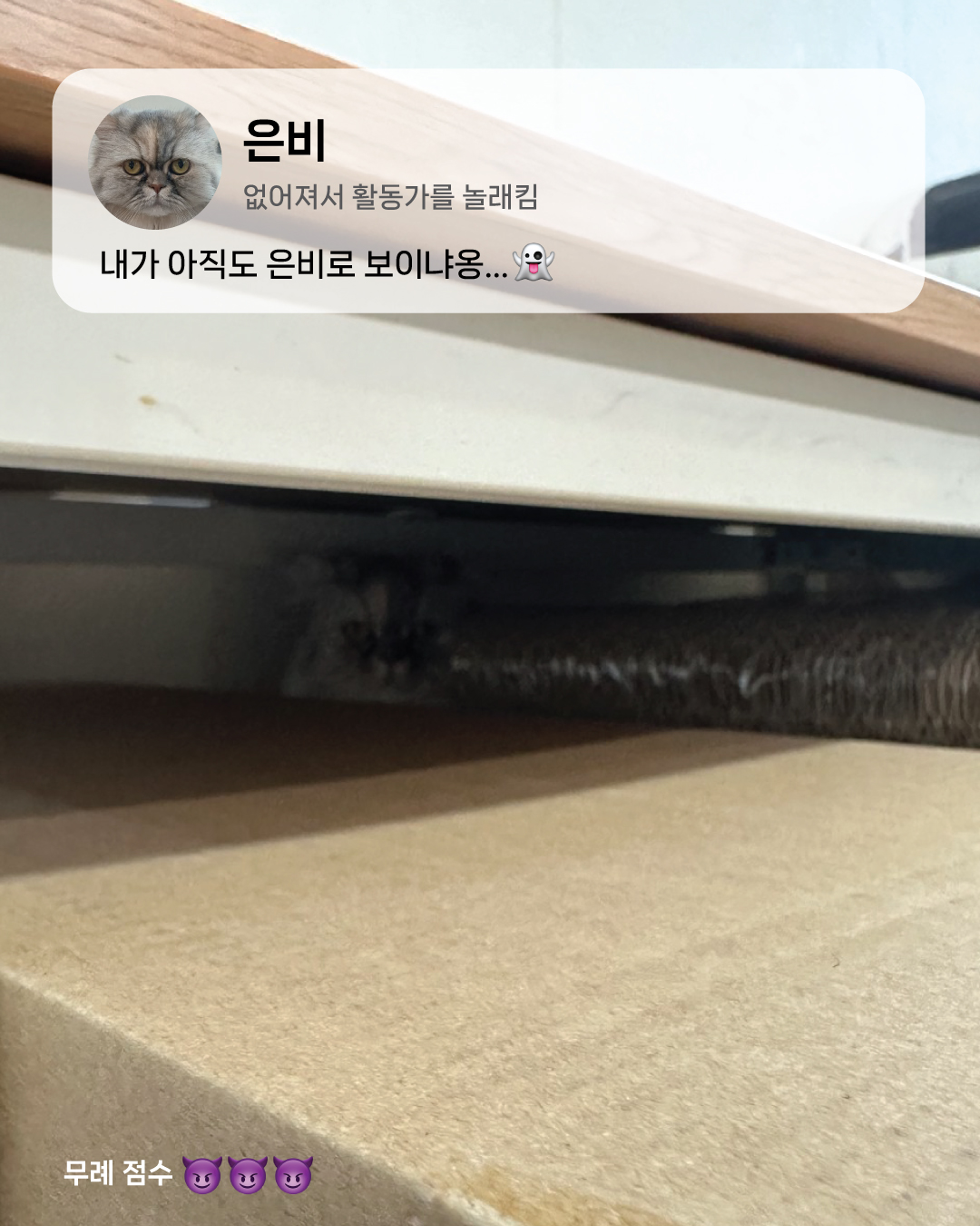 4월4.jpg