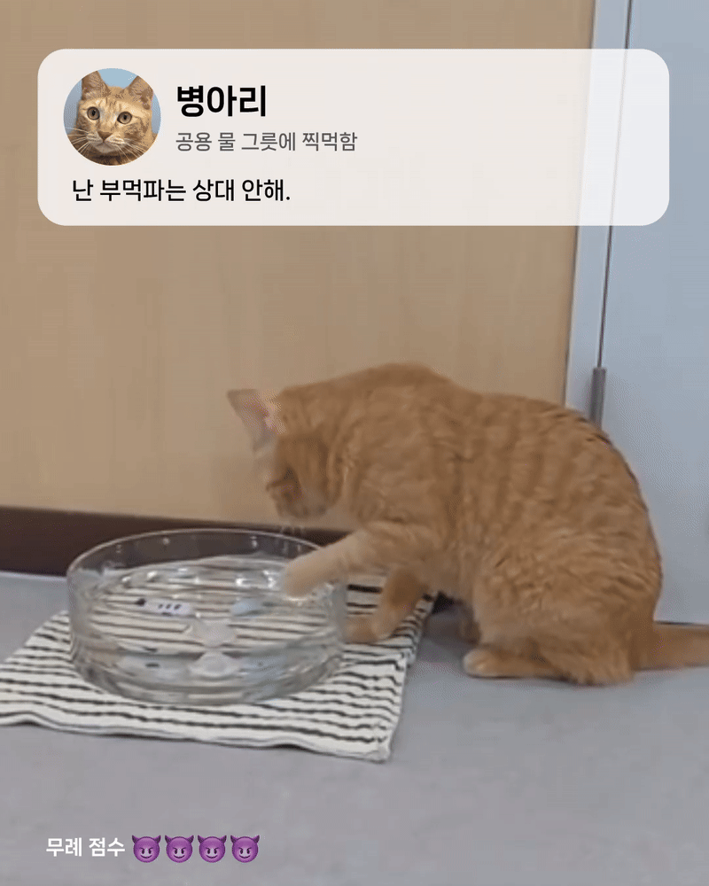 KakaoTalk_20250430_095641677.gif