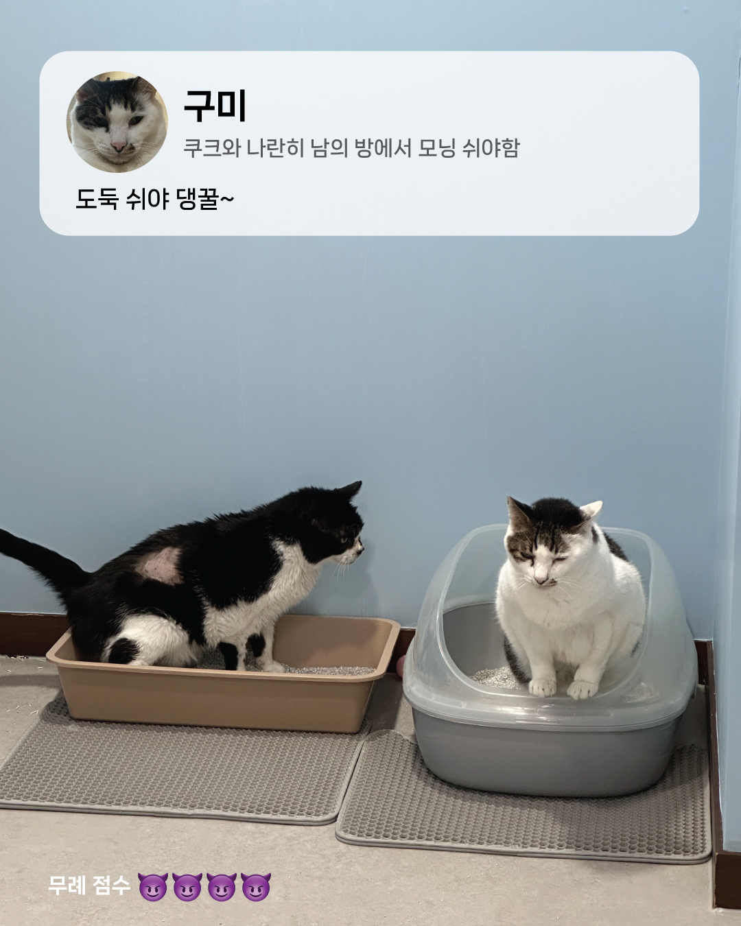 4월3.jpg