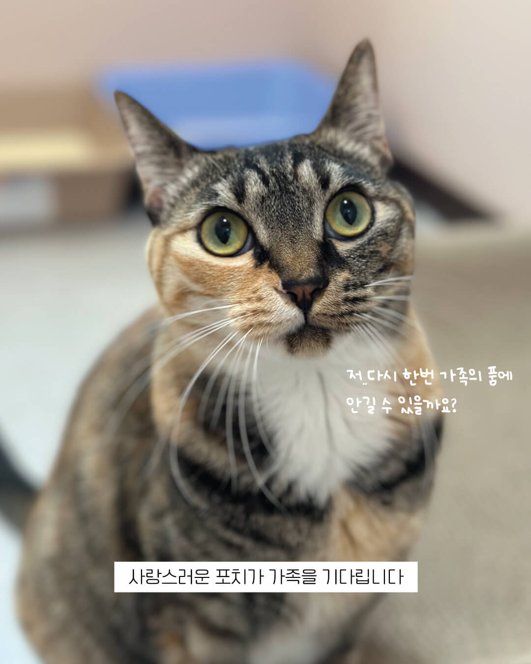 포치14.jpg
