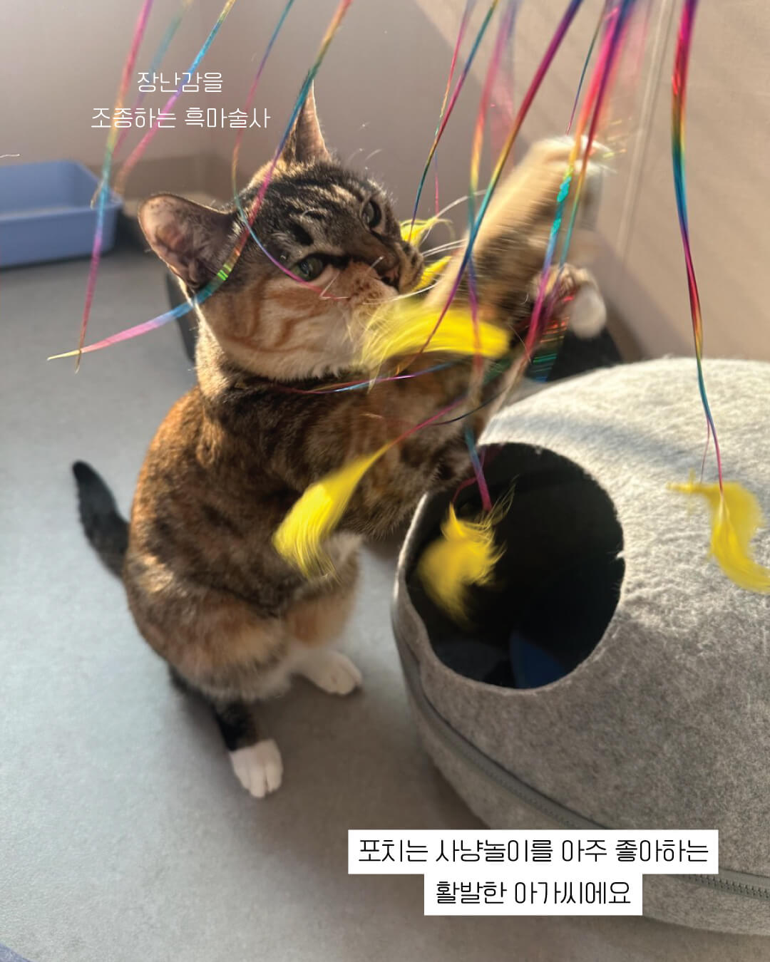 포치11.jpg