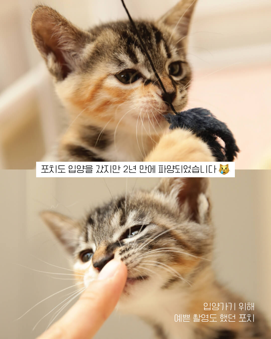 포치4.jpg