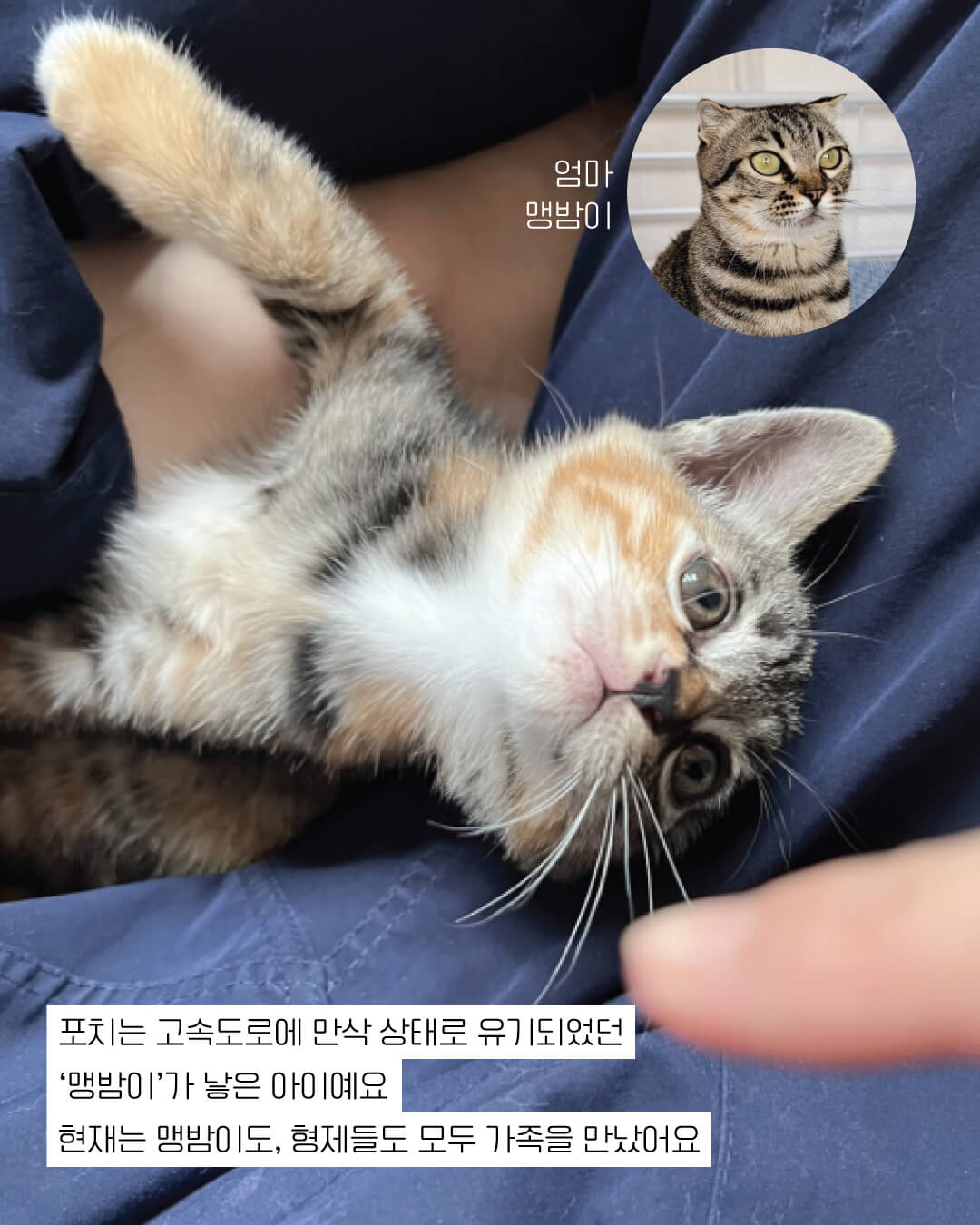 포치3.jpg