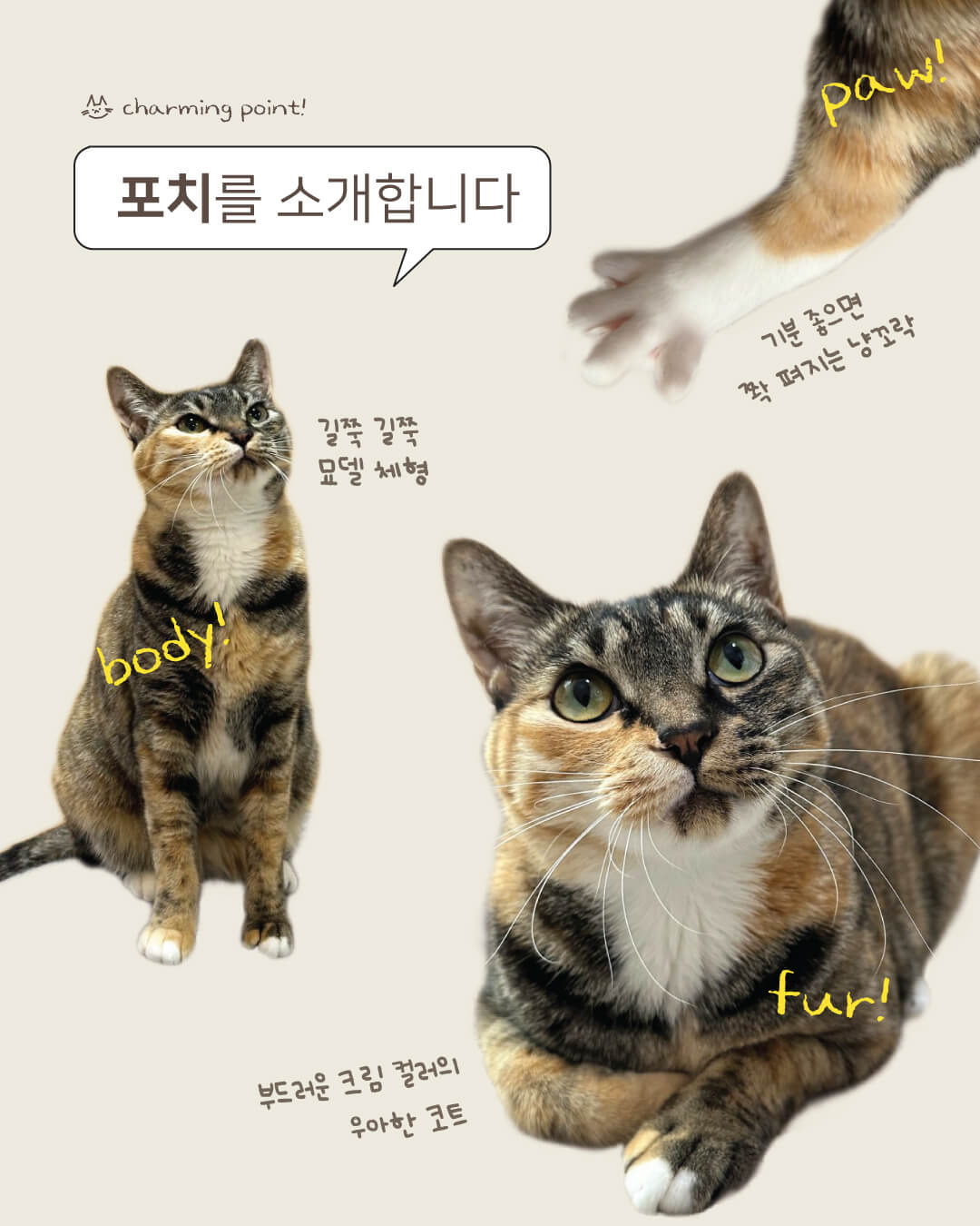 포치2.jpg