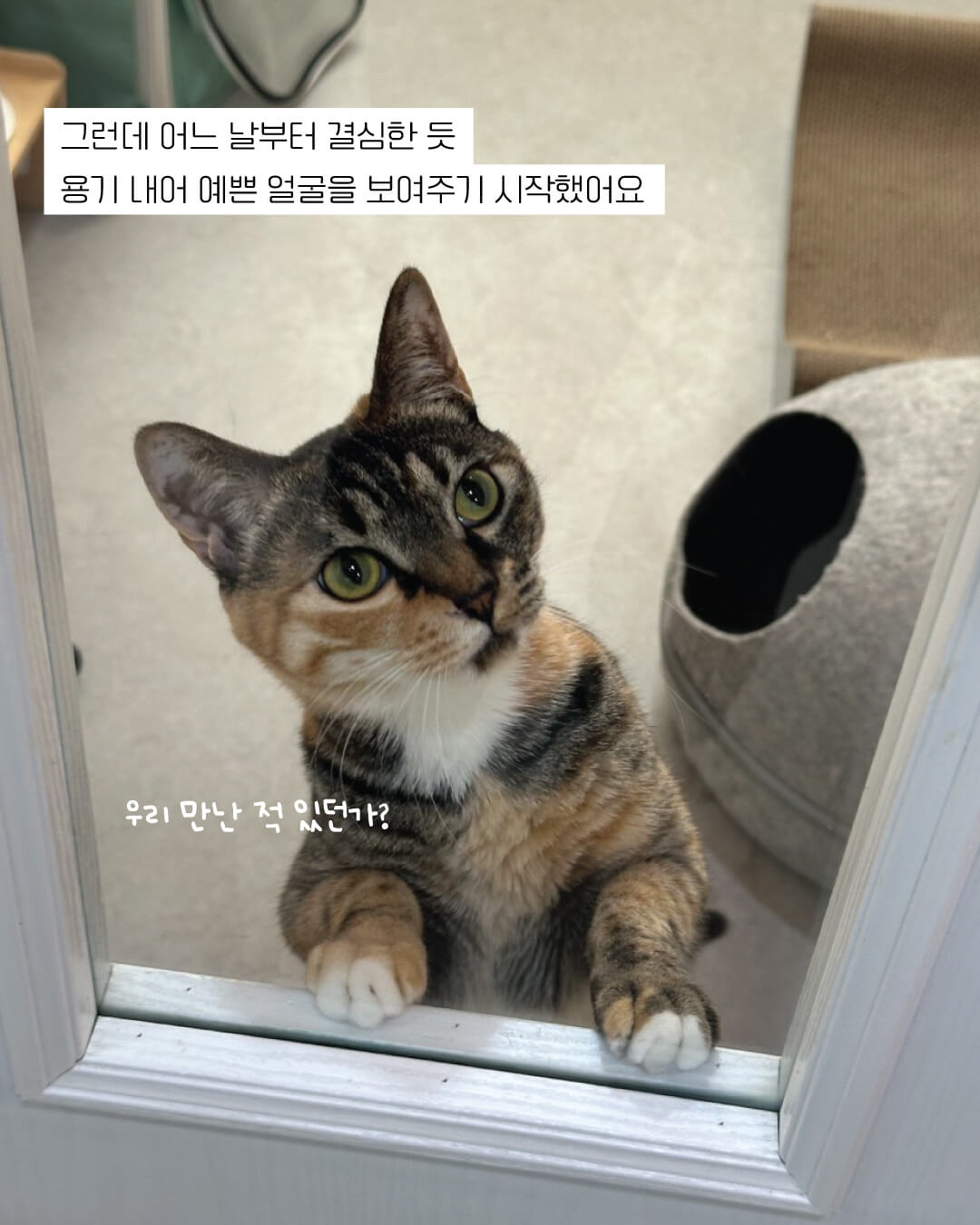 포치6.jpg