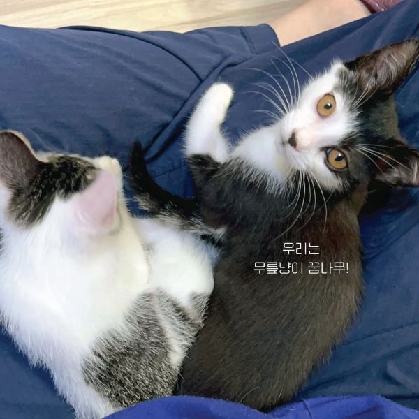 흑설백설9.jpg