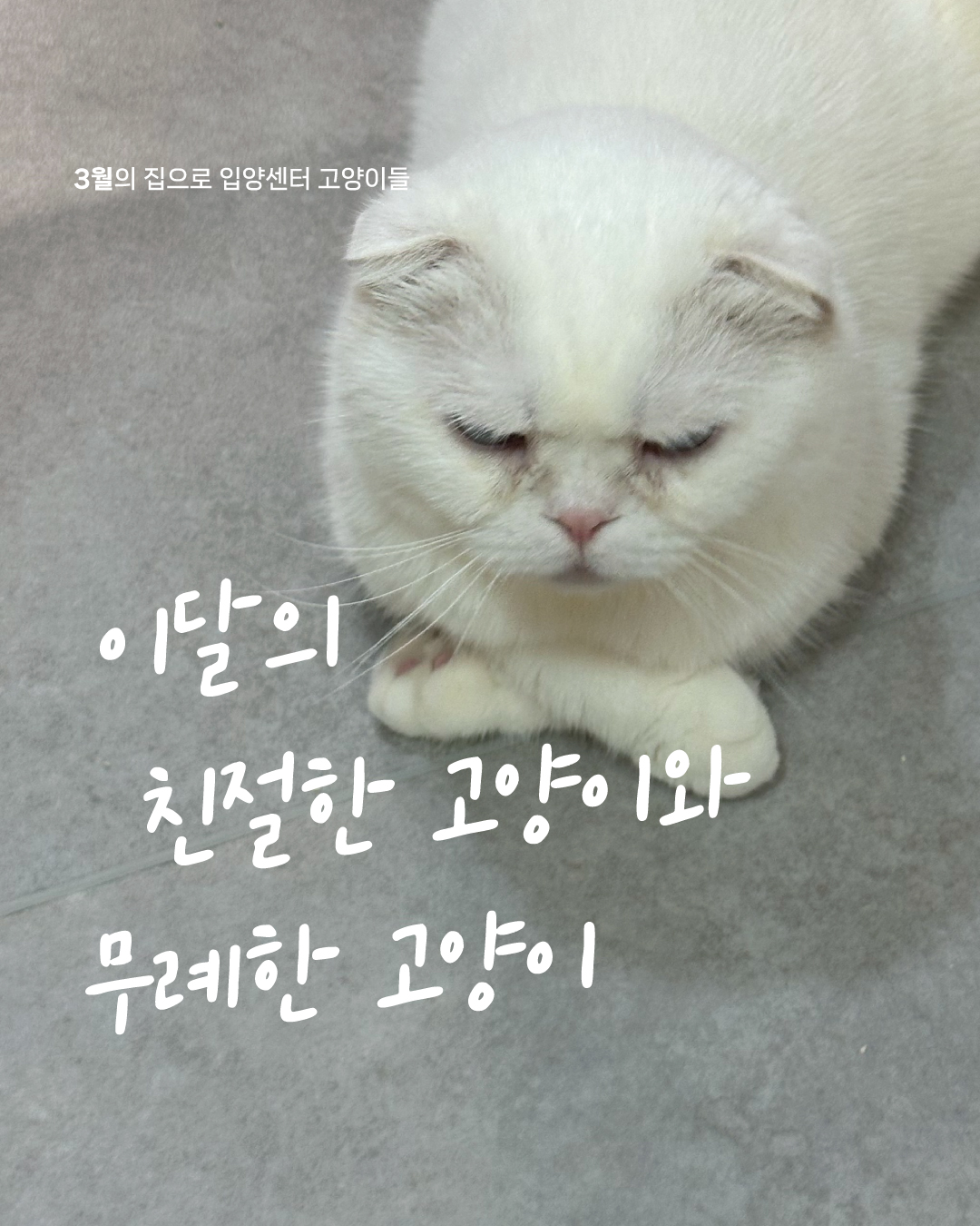 3월1.jpg