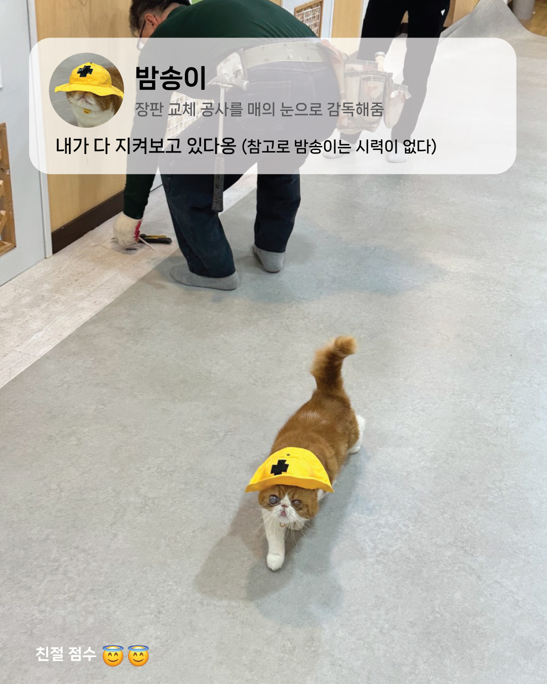 3월2.jpg