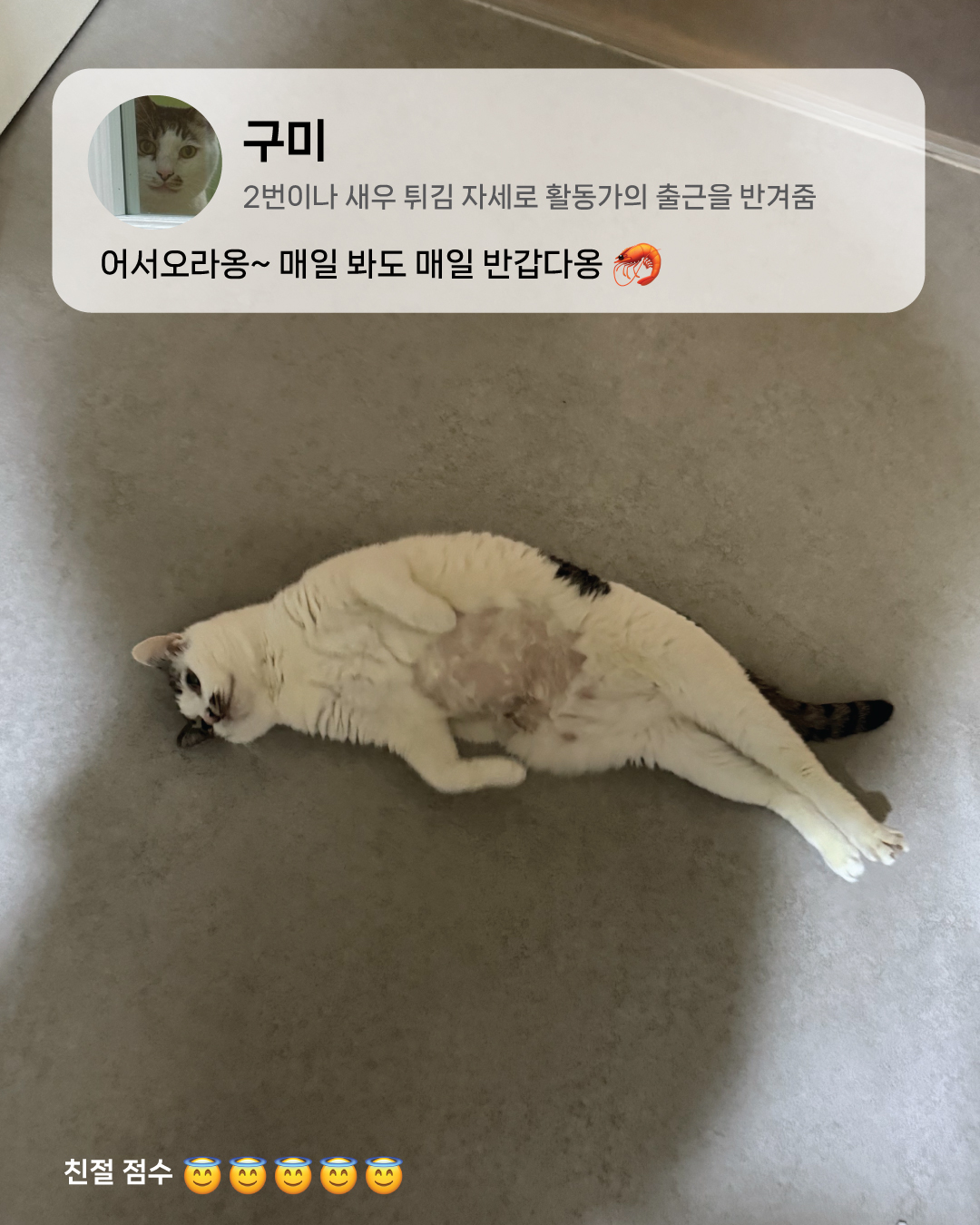 3월4.jpg