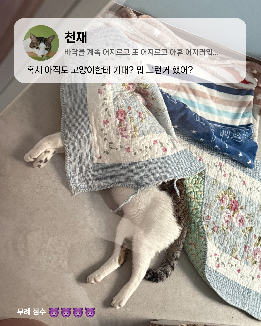 3월6.jpg