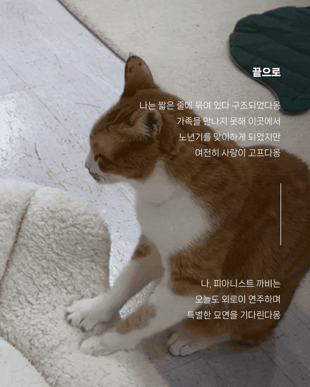 8 (1)-min.gif