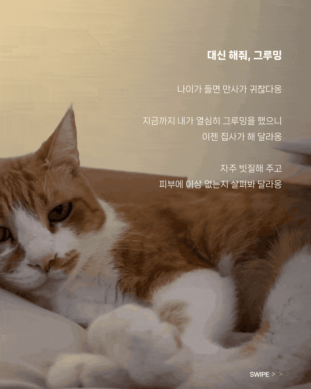 4-min.gif