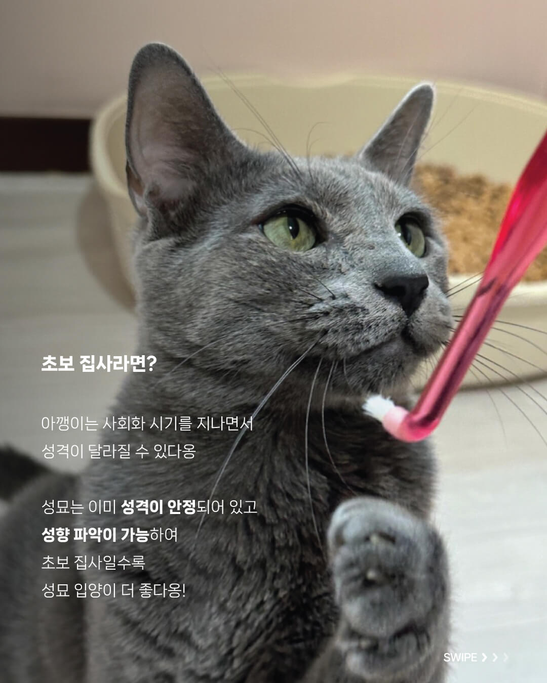 성묘2.jpg