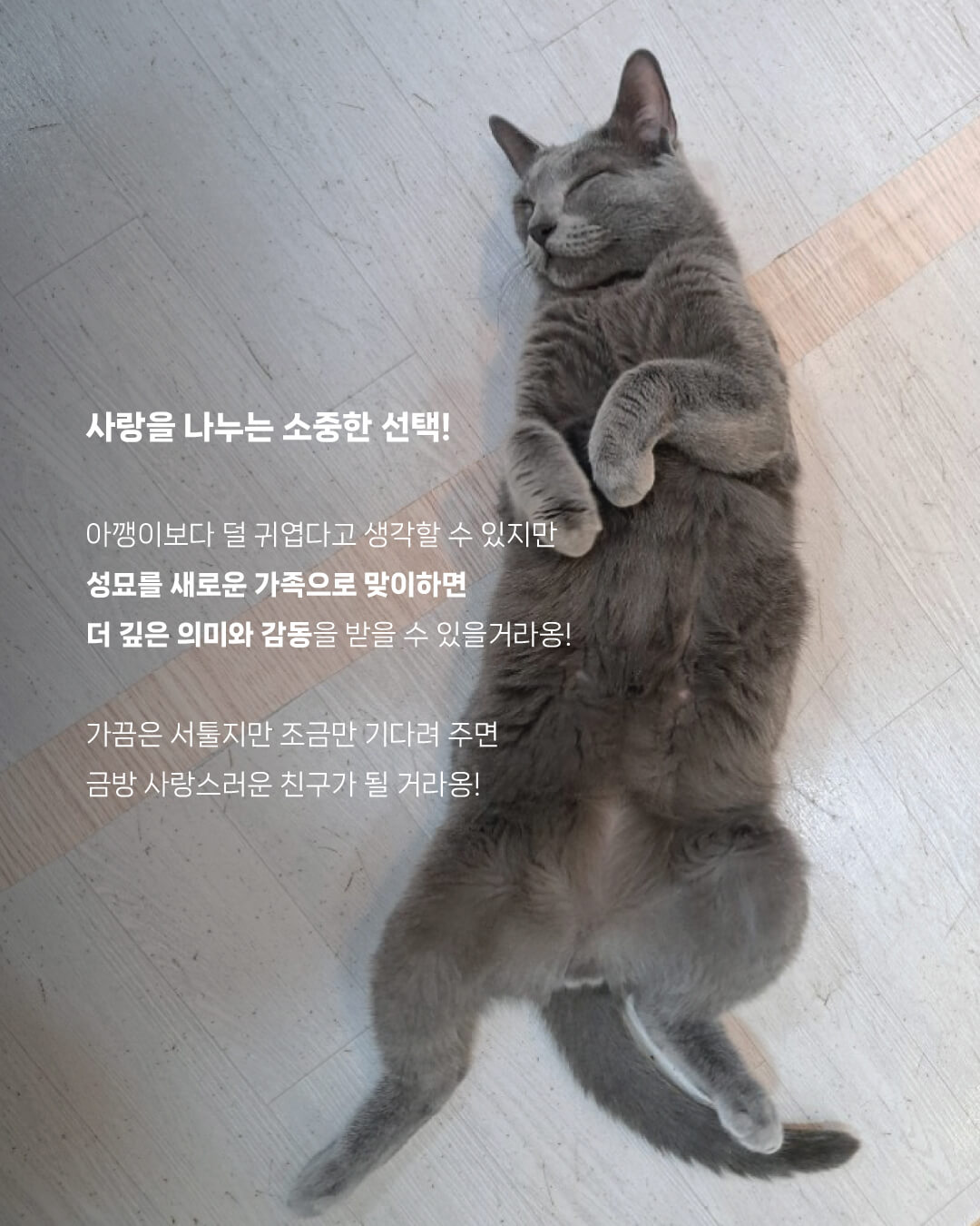 성묘6.jpg
