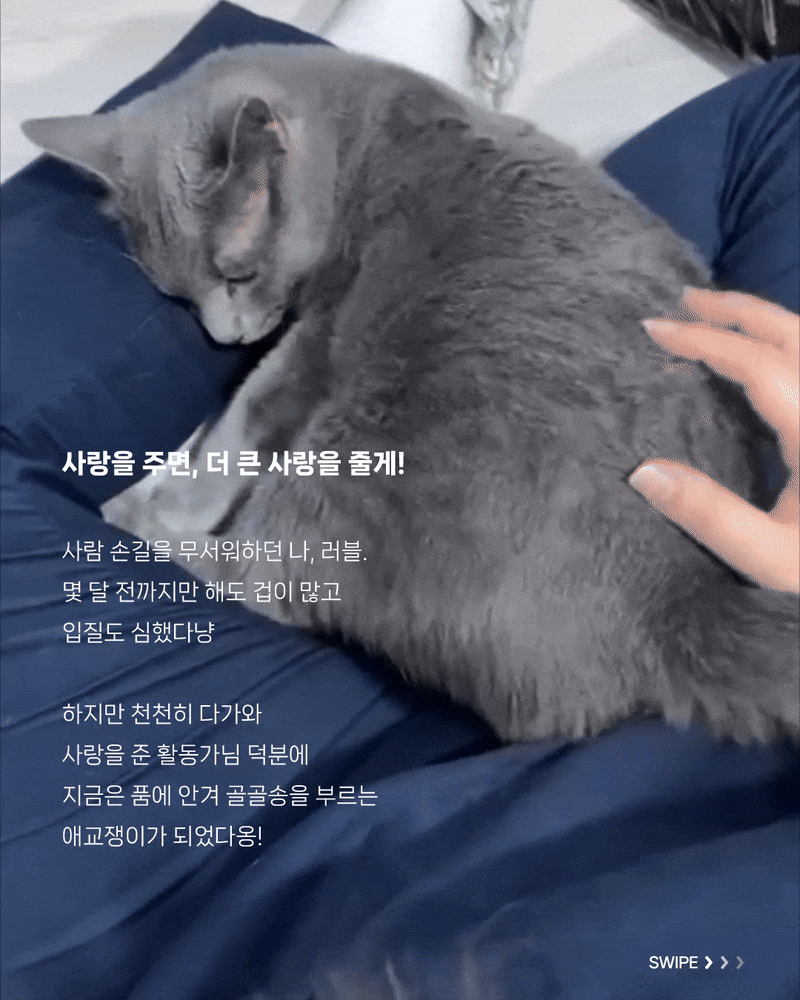 성묘5.gif