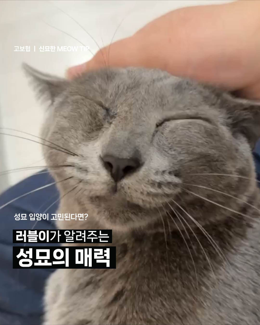 성묘1.jpg