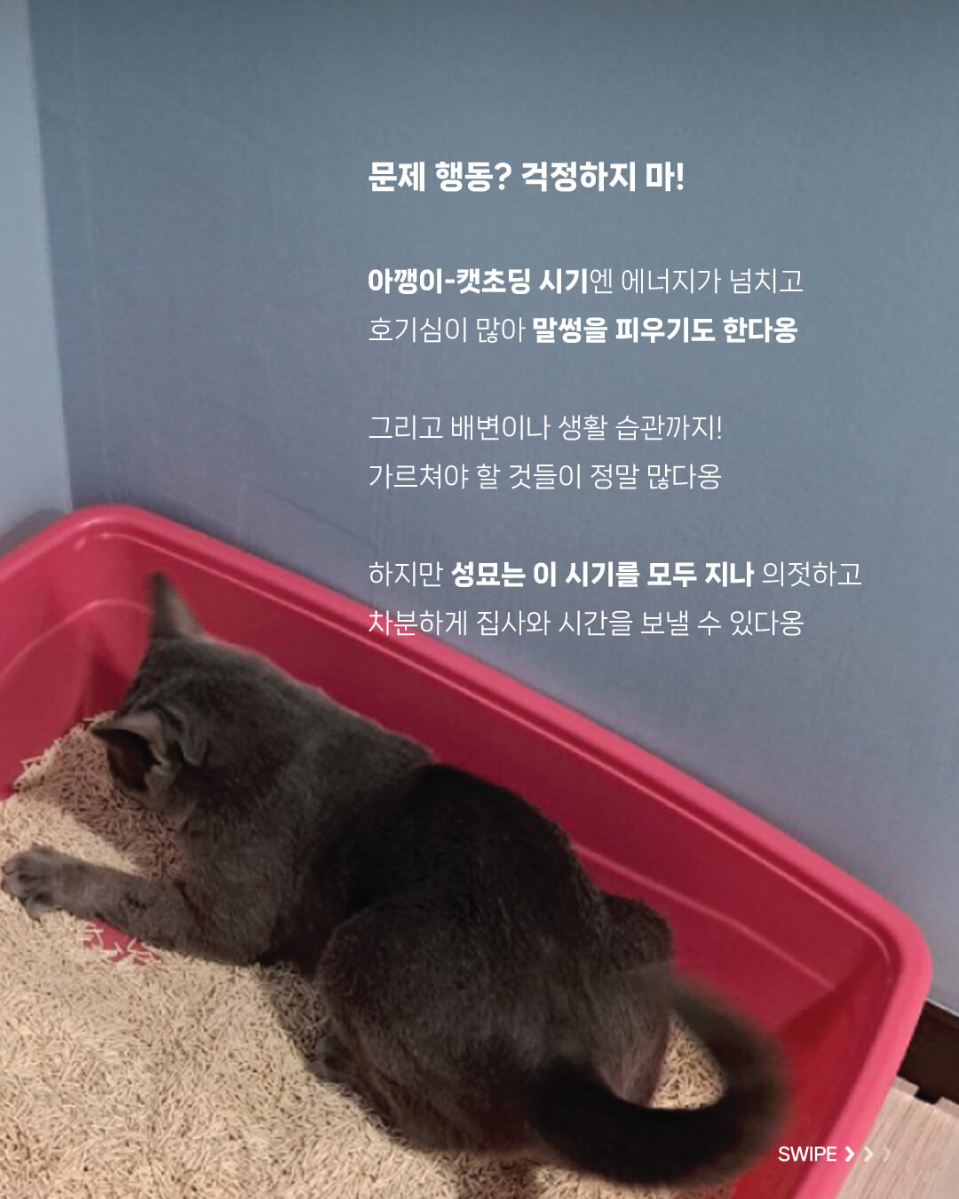 성묘3.jpg