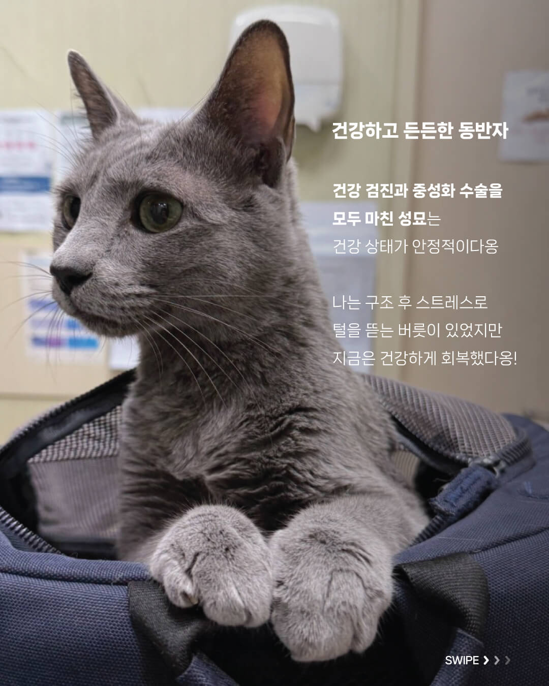 성묘4.jpg