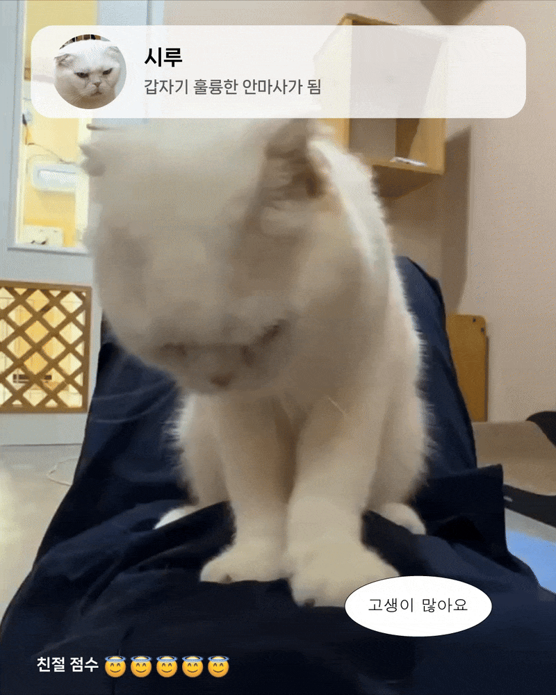 시루룽.gif