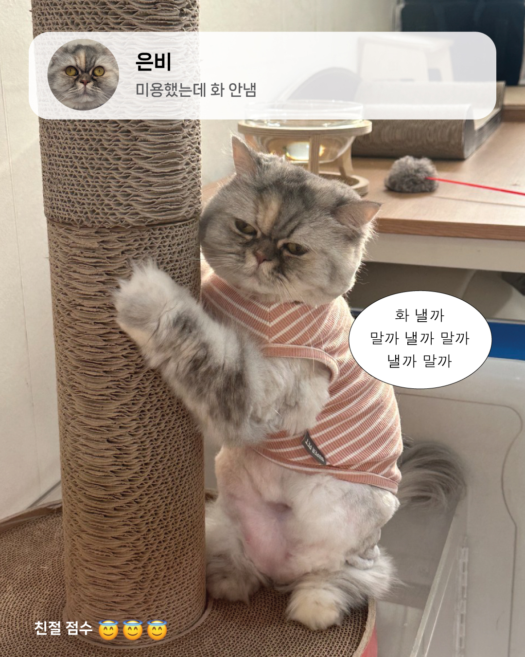 8월냥6.jpg