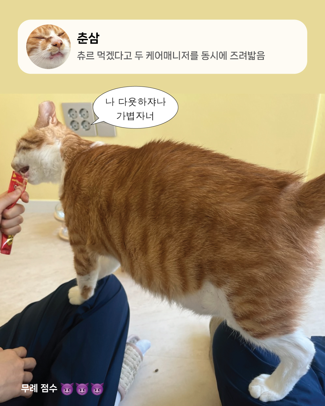 8월냥5.jpg