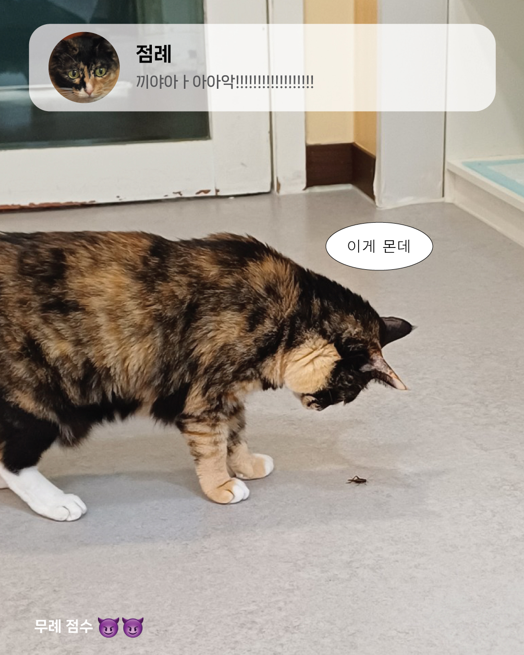 8월냥9.jpg
