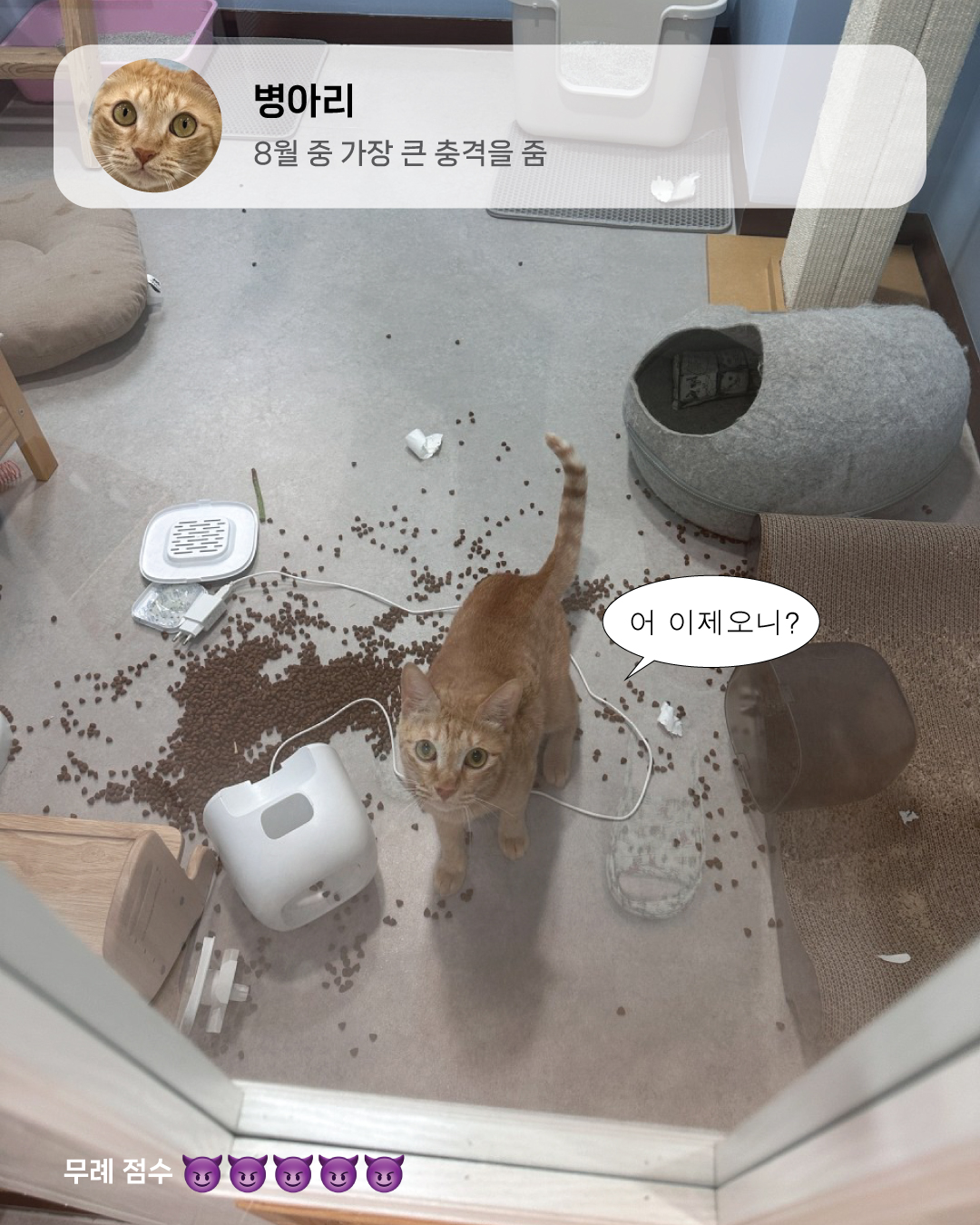 8월냥4.jpg