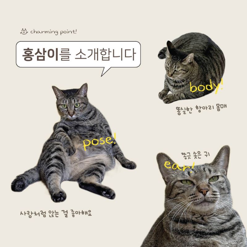 홍삼2.jpg