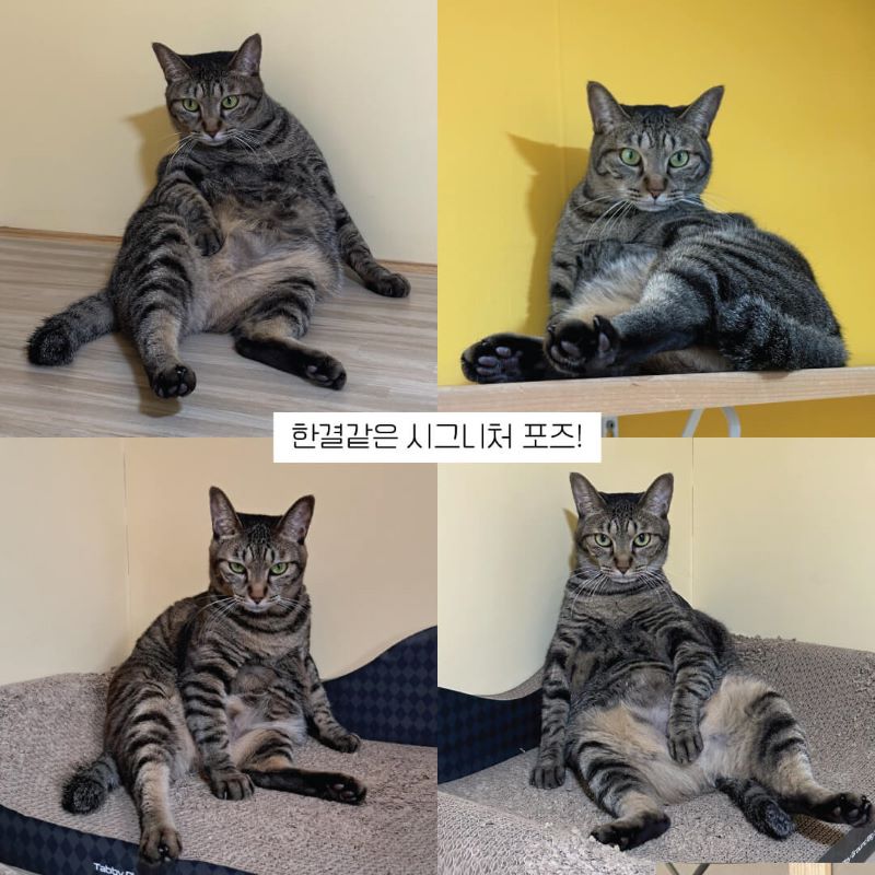 홍삼8.jpg