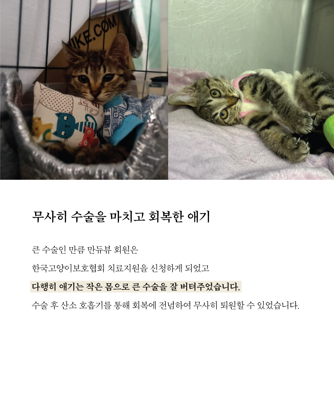 애기5.jpg