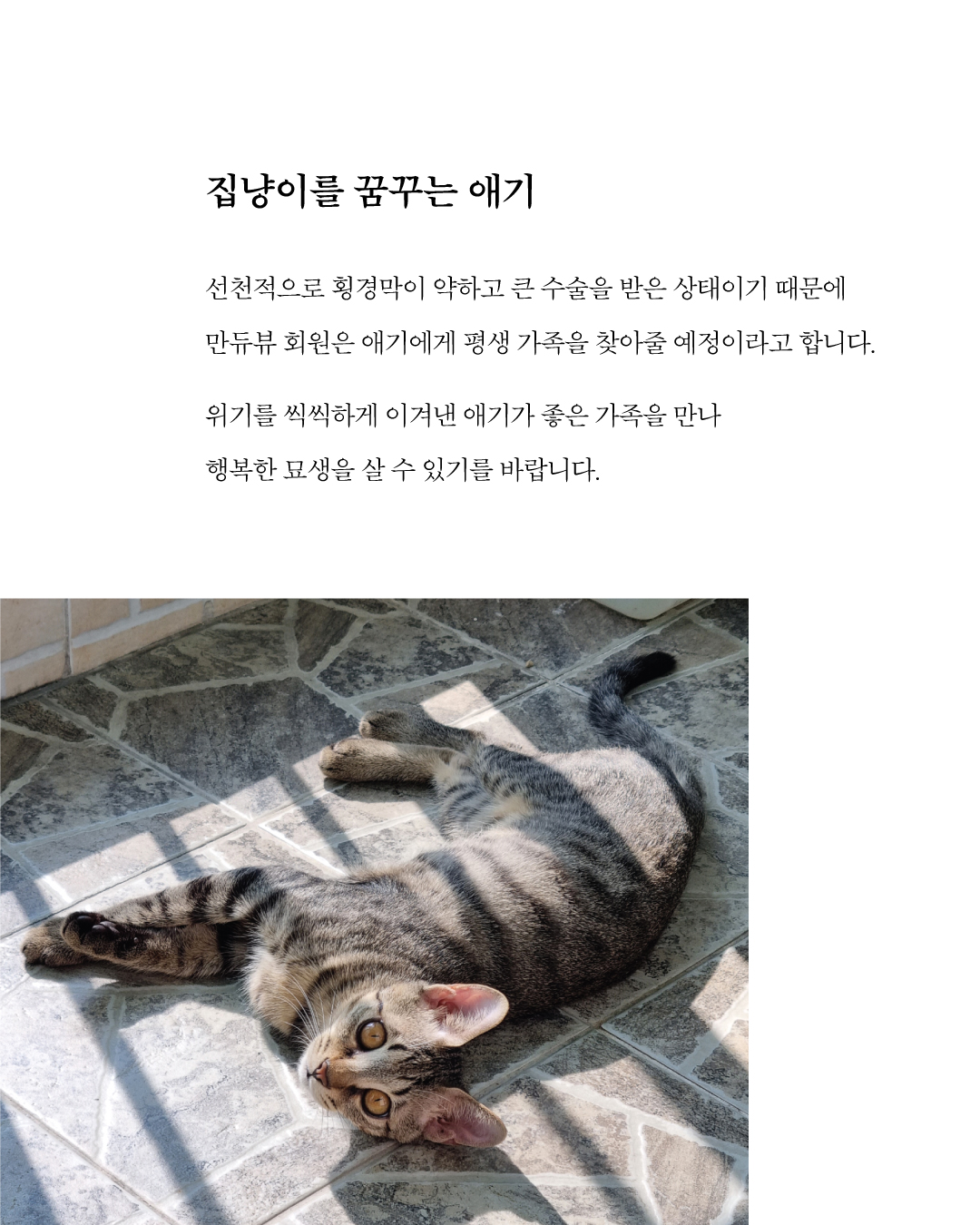 애기6.jpg