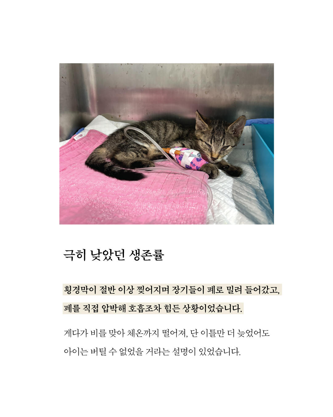 애기4.jpg