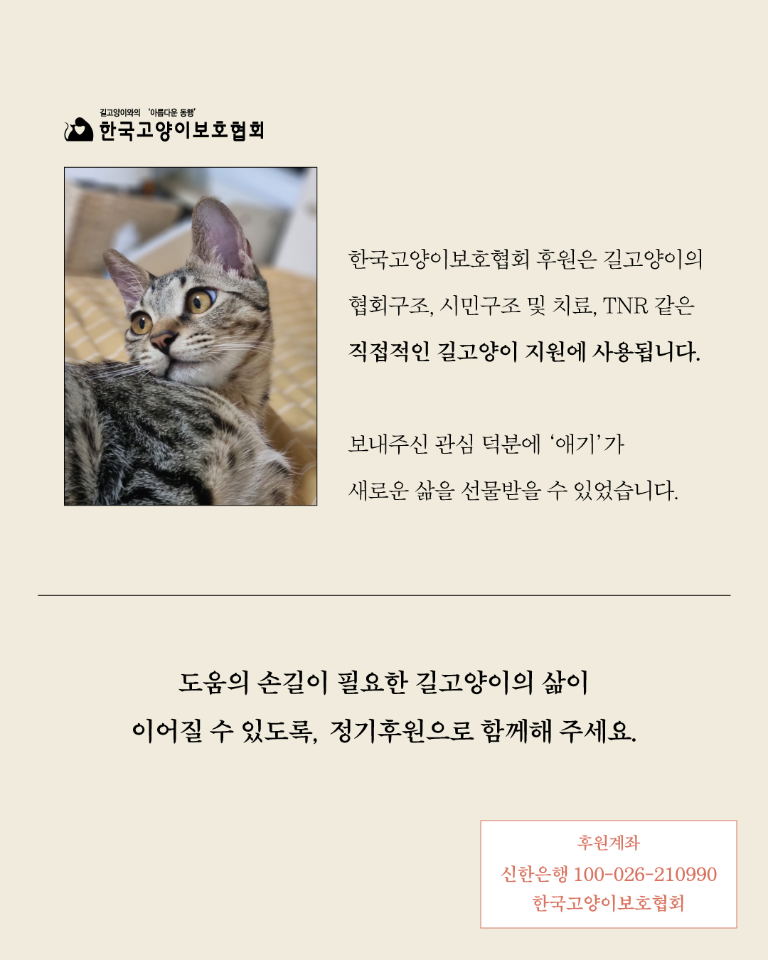 애기8.jpg