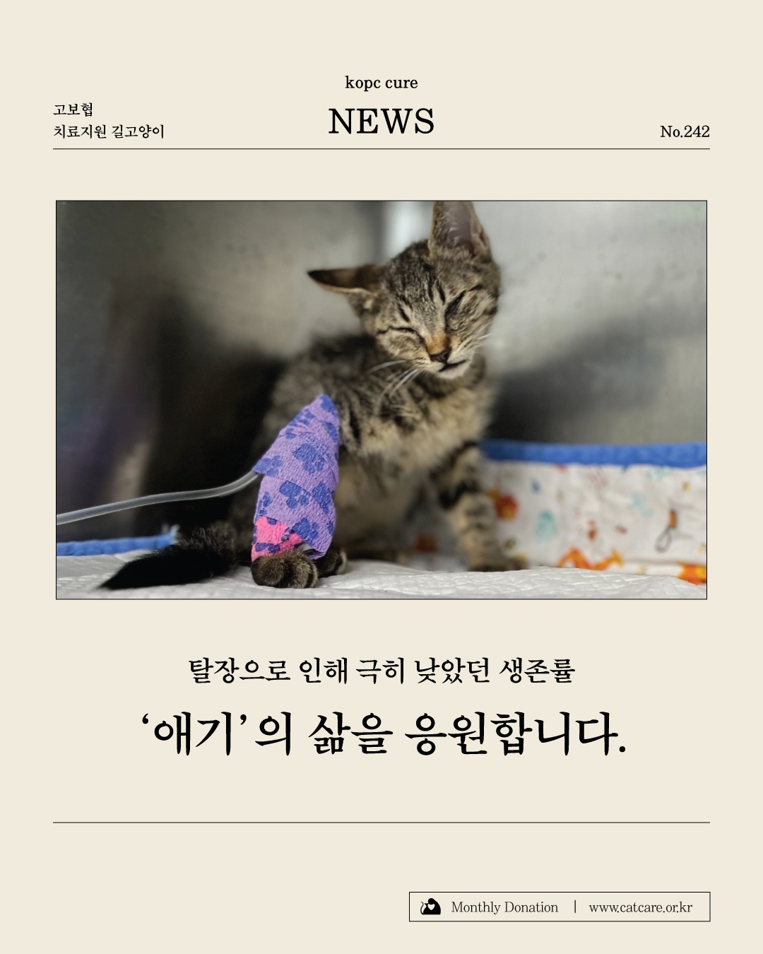 애기1.jpg