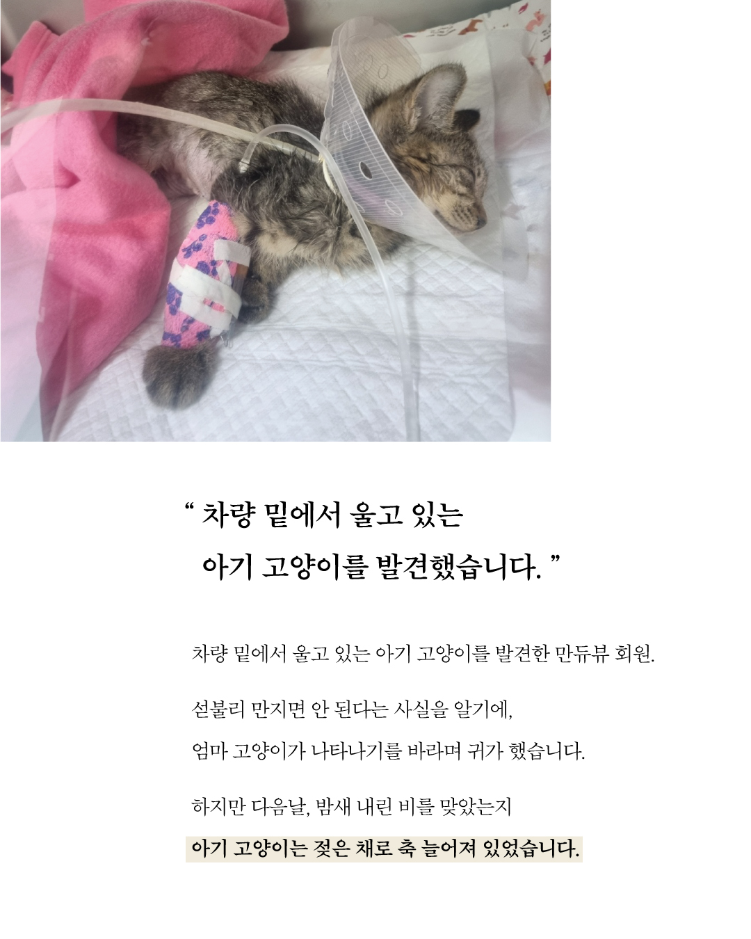 애기2.jpg