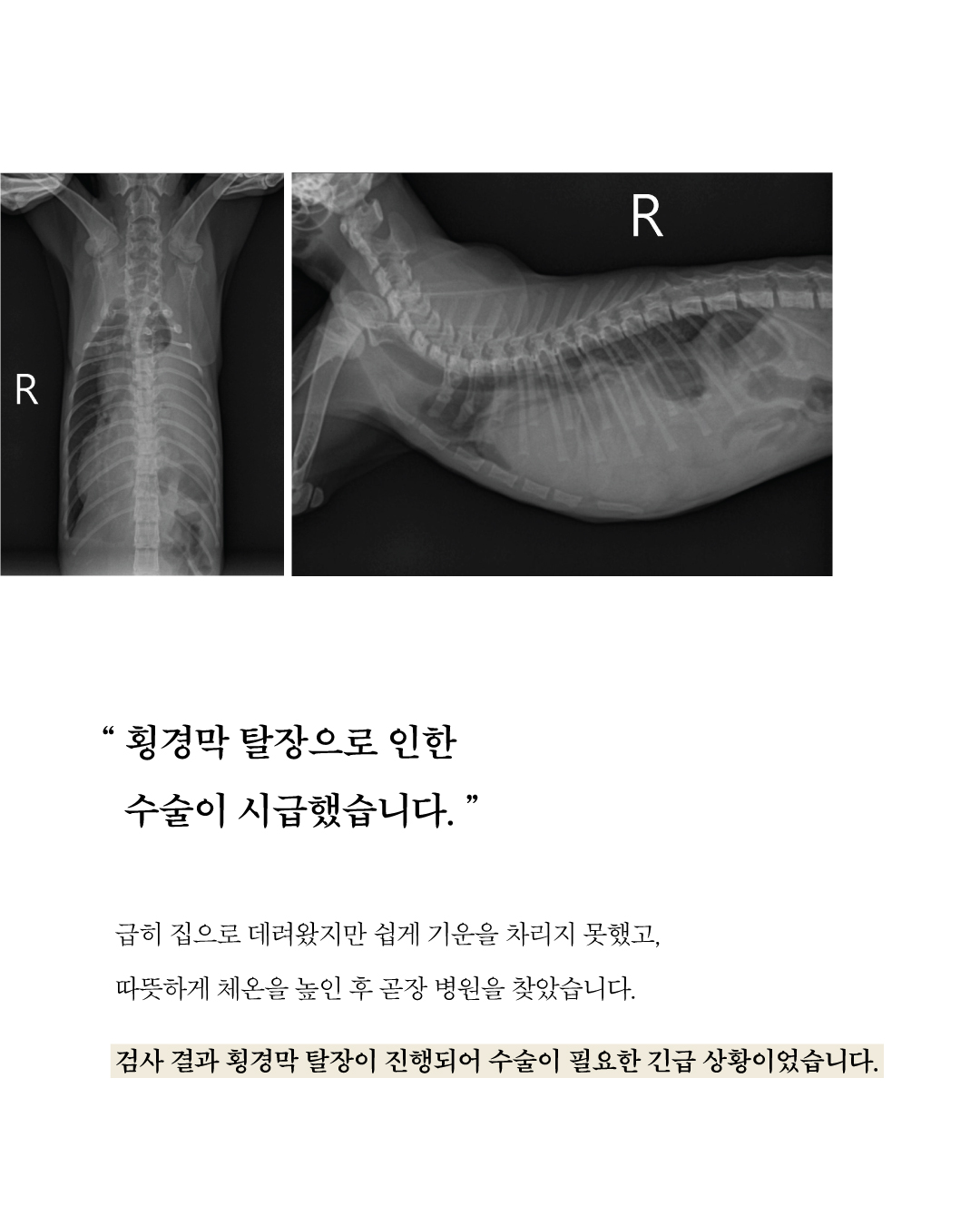 애기3.jpg