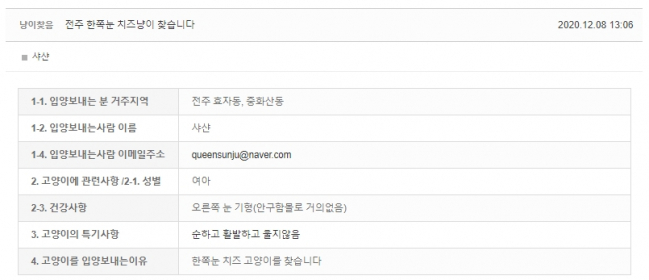 20.12 냥이찾기_1.jpg