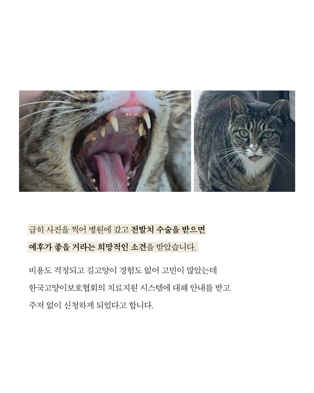 꼬미치료지원4.jpg