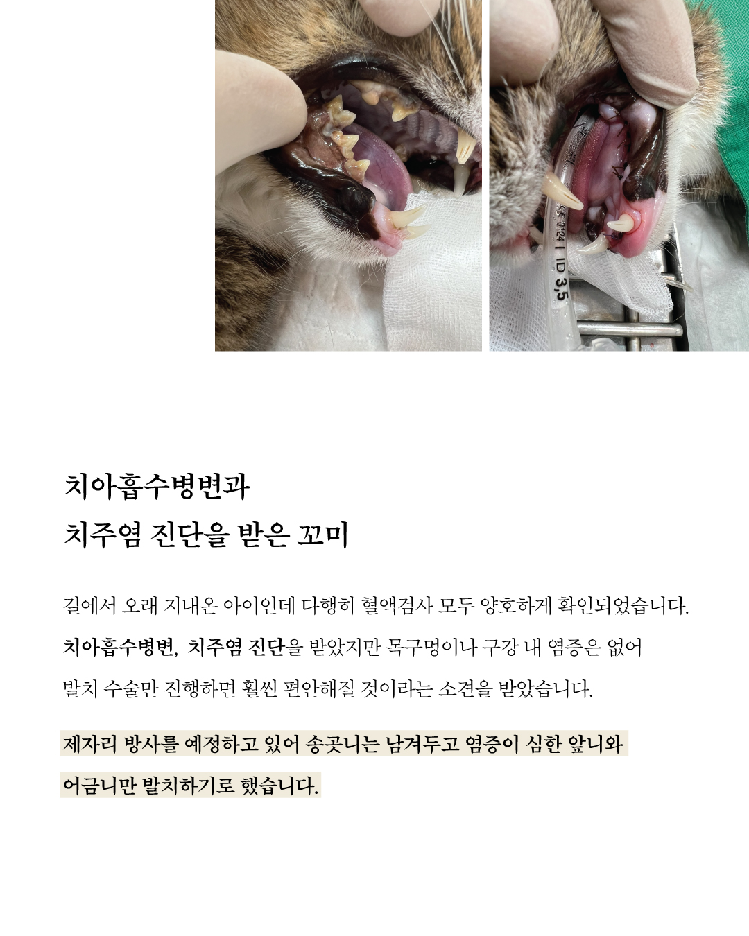 꼬미치료지원5.jpg