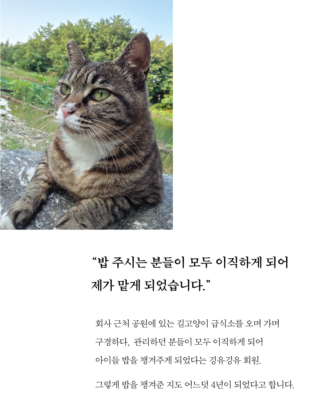 꼬미치료지원2.jpg