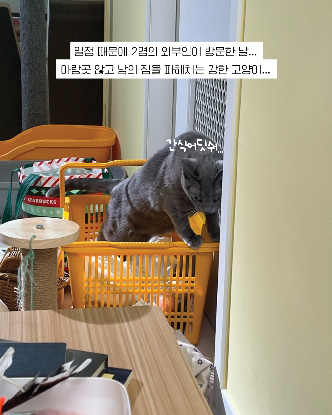 달리14.jpg