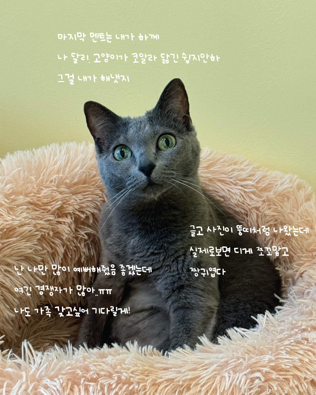 달리15.jpg