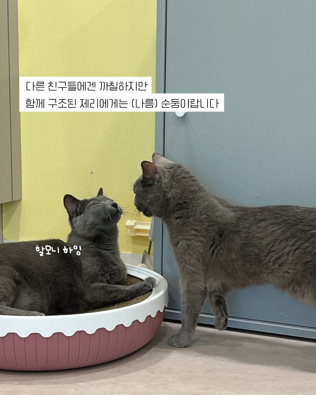 달리12.jpg