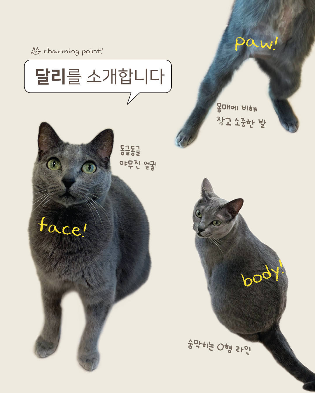 달리2.jpg