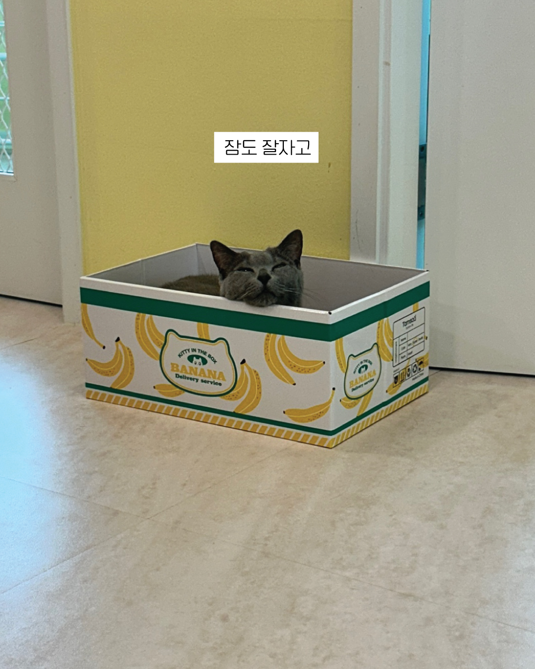 달리8.jpg
