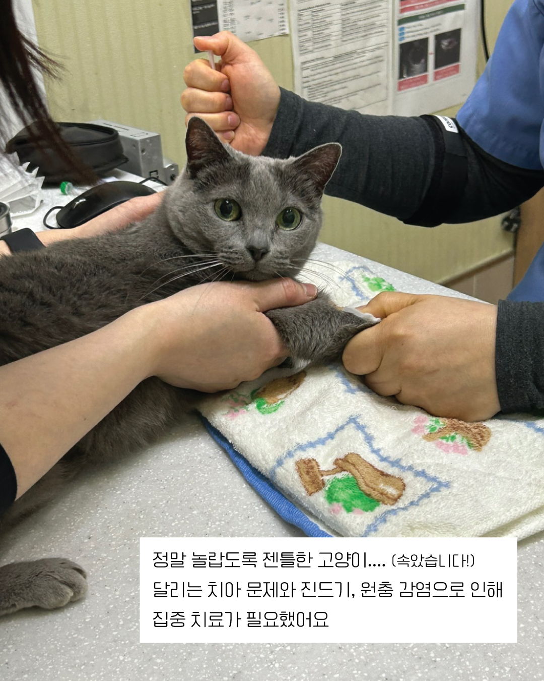달리5.jpg