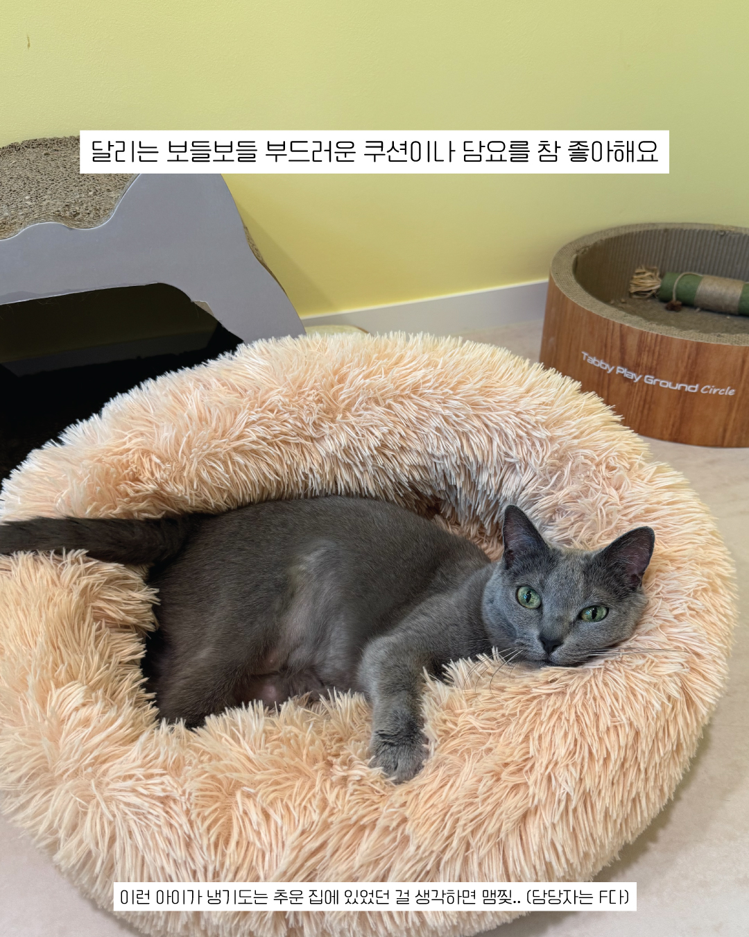 달리11.jpg