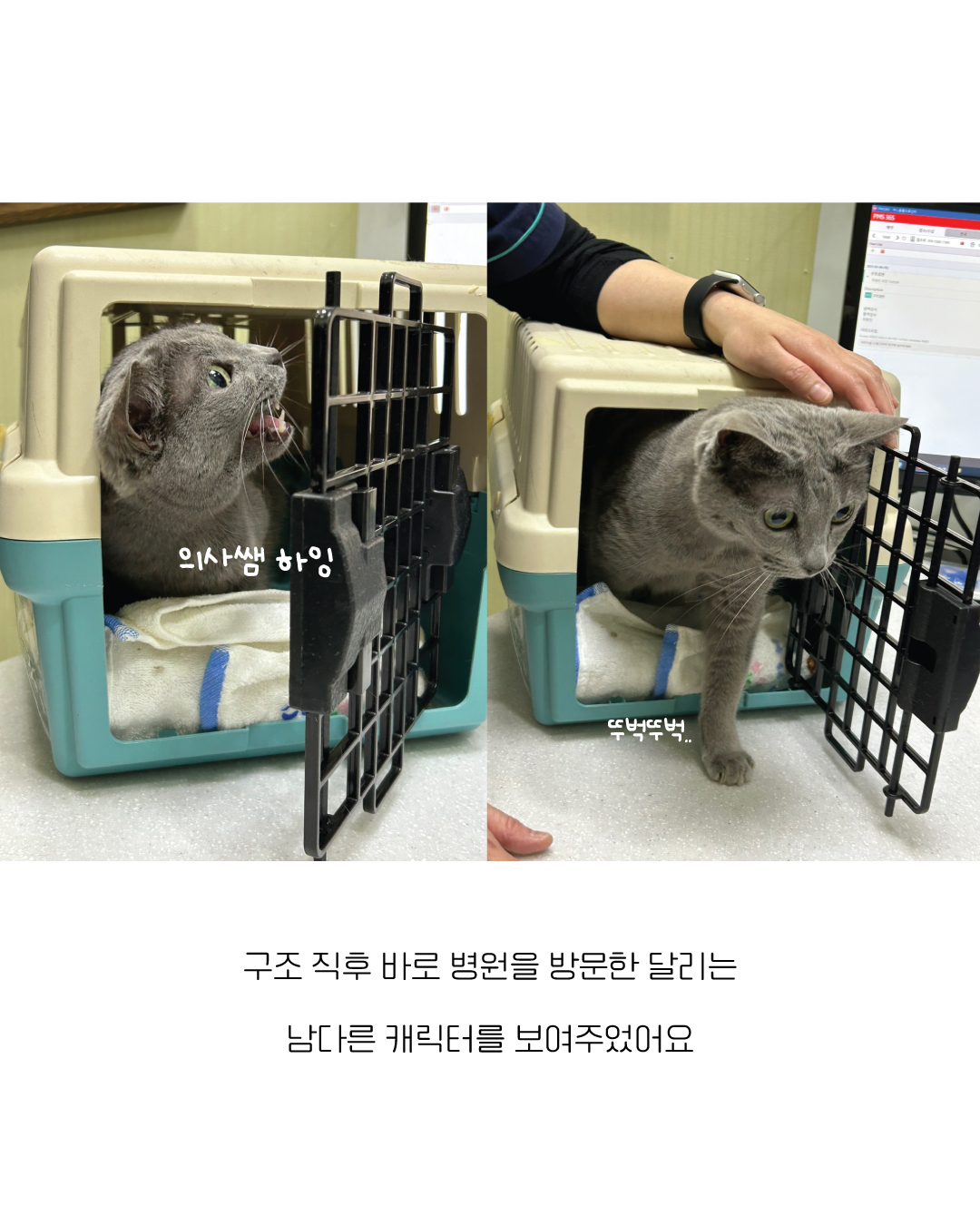 달리4.jpg