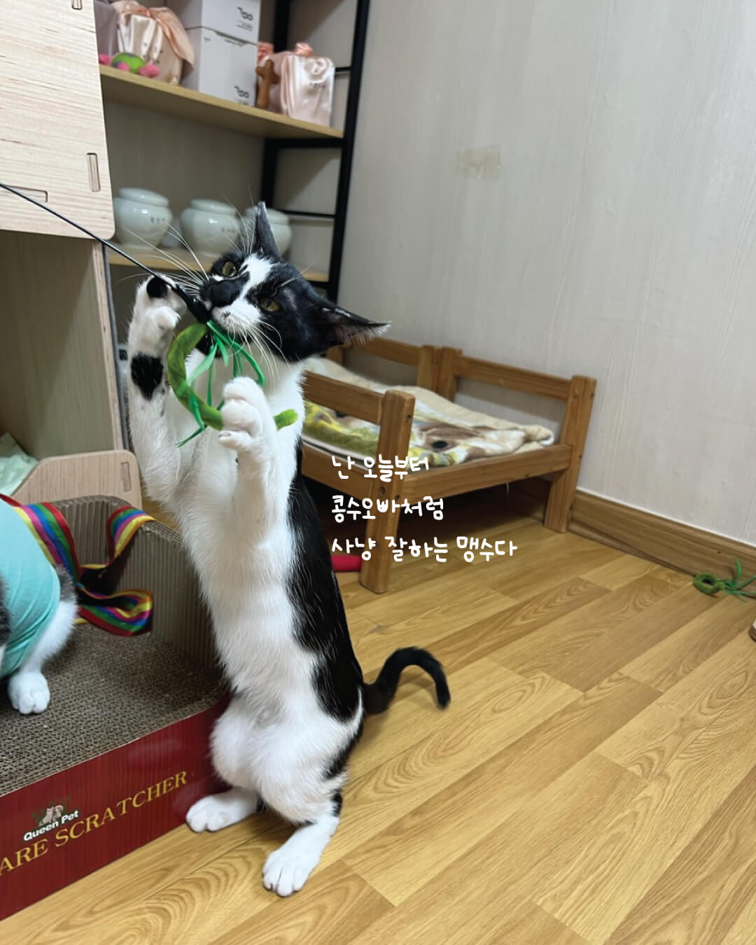 아리9.jpg